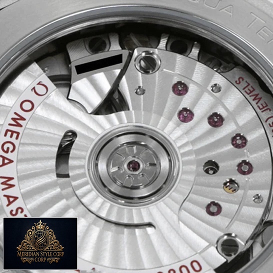 Omega Seamaster Co Axıal 220.13.38.20 Replica mechanism view