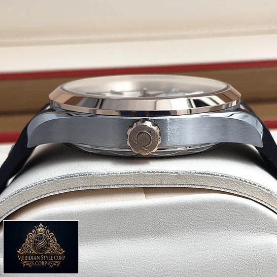 Omega Seamaster Stainless Steel Crown Replica in the box