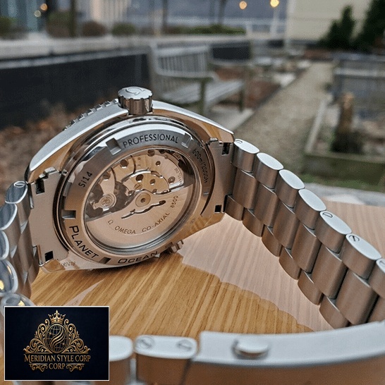 Omega Seamaster Professıonal Stainless Steel Replica upside view