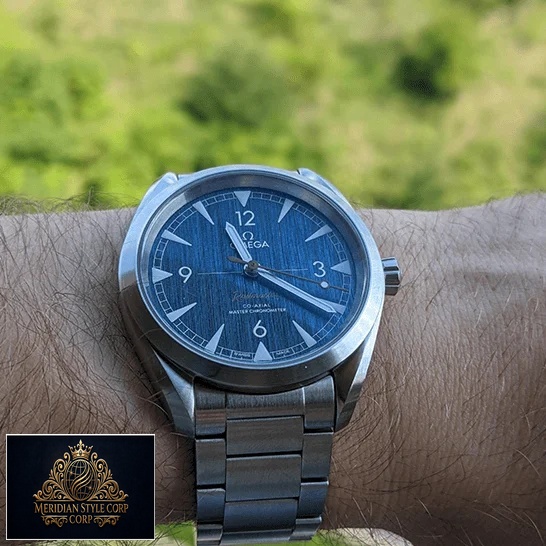Omega Seamaster Blue Dial 220.10.40.20.03.001 Oyster Replica on the hand grass background