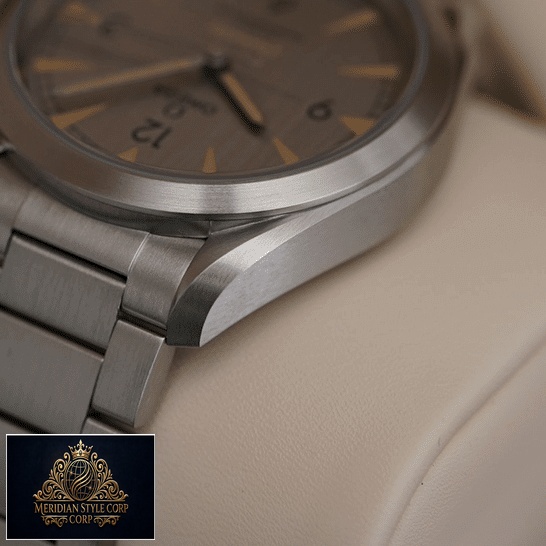 Omega Railmaster Gray Dial Replica in the box