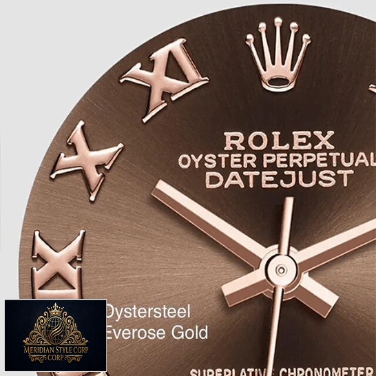 Rolex Datejust Chocolate Roman Dial Replica white background