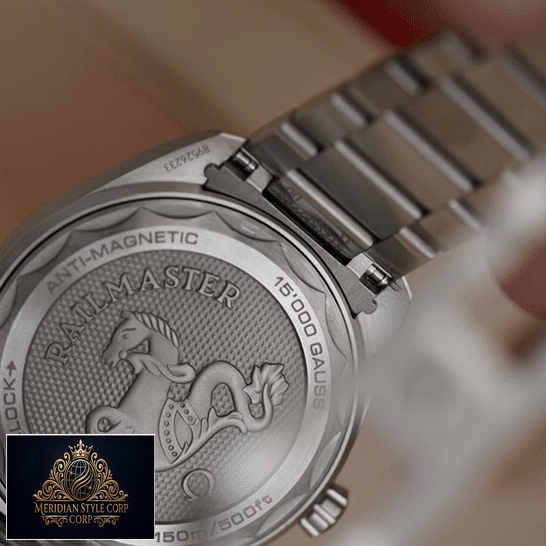 Omega Railmaster 220.10.40.20.06.001 Stainless Steel Replica