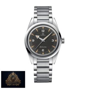 Omega Seamaster Railmaster Steel 220.10.38.20.01.002 Masterpiece Replica
